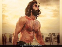 इससे पहले कि समाज में एनिमल 'पार्क' हो जाए, अरे थम जा रे बेंगा!