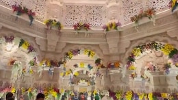 Watch: Sneak Peek Into Ayodhya's Ram Temple Ahead Of Grand Opening