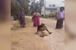 पेंशन नहीं मिलने पर 2 किलोमीटर तक रेंगते हुए पोस्ट ऑफिस पहुंची बुजुर्ग दिव्यांग महिला पेंशन नहीं मिलने पर 2 किलोमीटर तक रेंगते हुए पोस्ट ऑफिस पहुंची बुजुर्ग दिव्यांग महिला