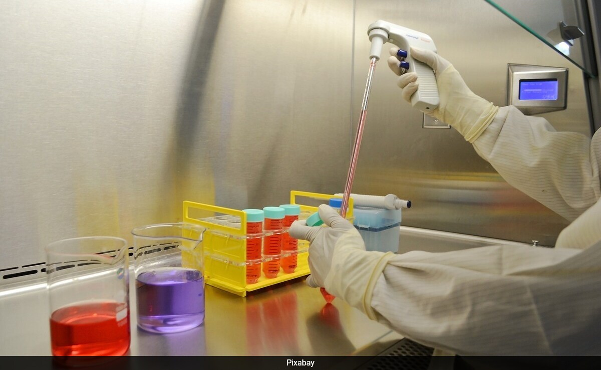 कैंसर सेल्स को रोकने के लिए नए एंटीबॉडी ट्रीटमेंट ने दिखाया अच्छा