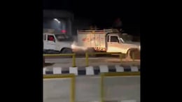 Video: Dramatic High-Speed Chase For Cattle Thieves On Expressway In Gurugram