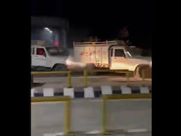 Video: Dramatic High-Speed Chase For Cattle Thieves On Expressway In Gurugram Video: Dramatic High-Speed Chase For Cattle Thieves On Expressway In Gurugram