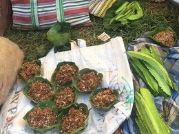 Odisha's Unique Red Ant Chutney Granted Geographical Indication (GI) Tag Odisha's Unique Red Ant Chutney Granted Geographical Indication (GI) Tag