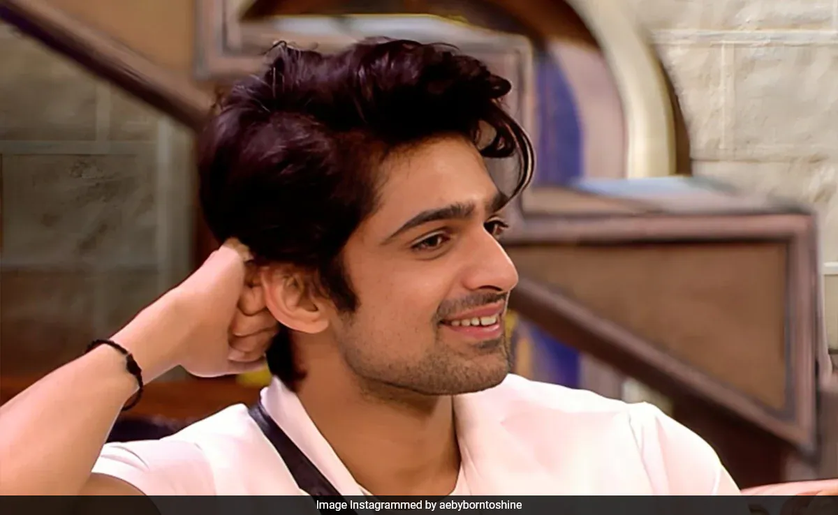 <i>Bigg Boss 17</i> Runner Up Abhishek Kumar On Isha Malviya: "Want To Keep Distance"