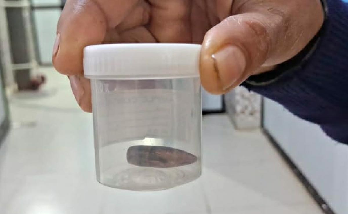 Latest and Breaking News on NDTV