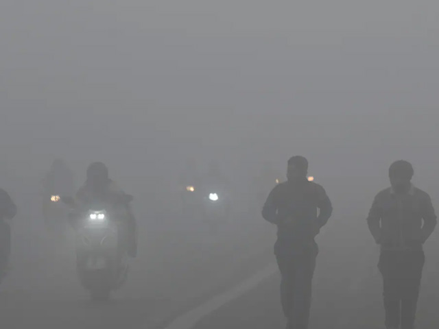 Delhi Records Season's Coldest Morning At 3.5 Degrees Celsius Amid Fog