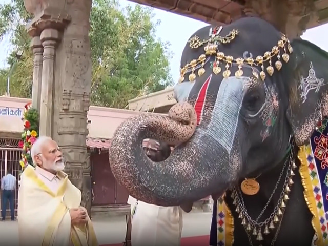 Watch: Elephant Plays Mouth Organ, Blesses PM Modi At Tamil Nadu Temple