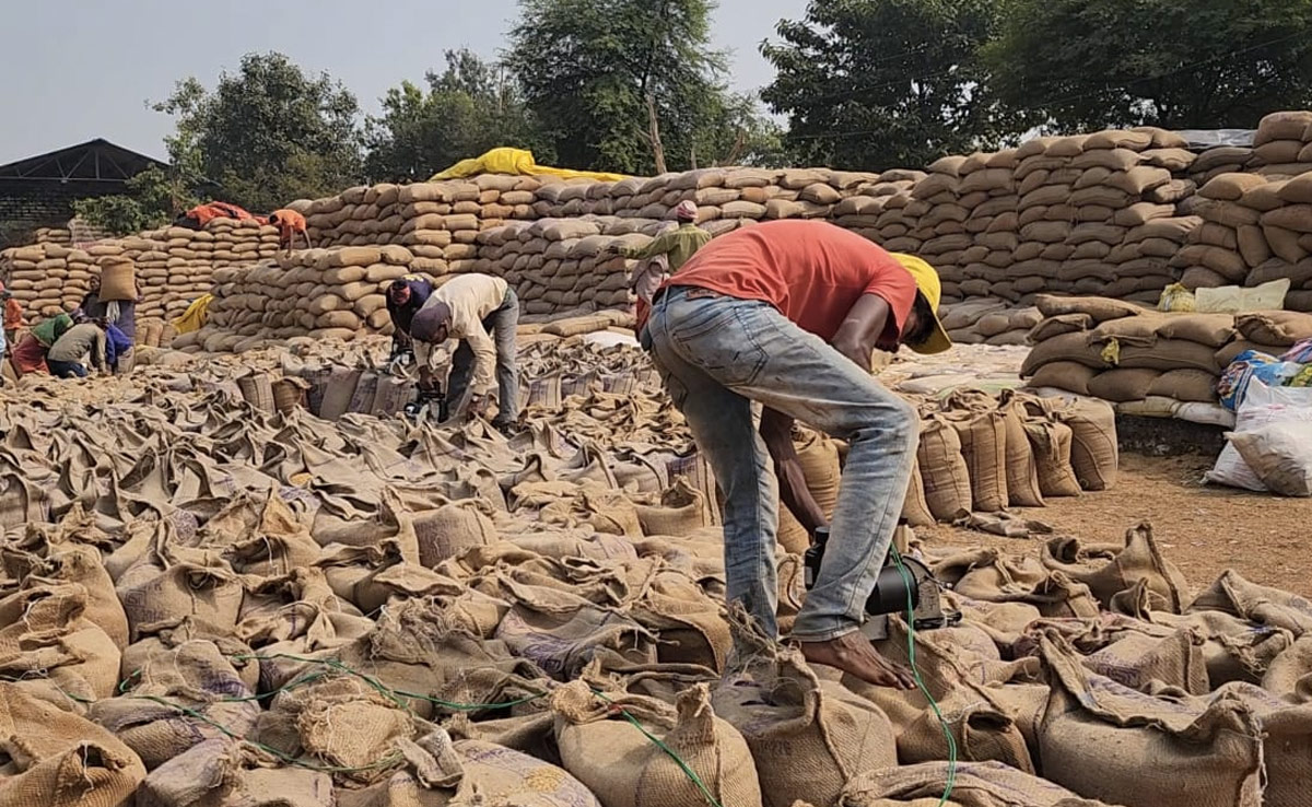 'अन्नदाता' की सुनिए 'विष्णु' ! महज दो दिन बाकी, हजारों किसानों का नहीं बिका धान