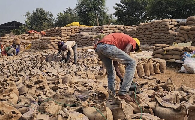 UP : मुख्यमंत्री आदित्यनाथ ने की धान खरीद की समीक्षा, 52.47 लाख मीट्रिक टन धान की हुई खरीद