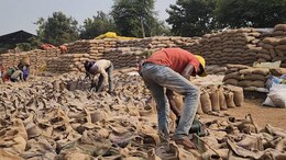 जशपुर में 6.55 करोड़ का धान 'चबा' गए अधिकारी, छह पर FIR, जानें क्या है मामला