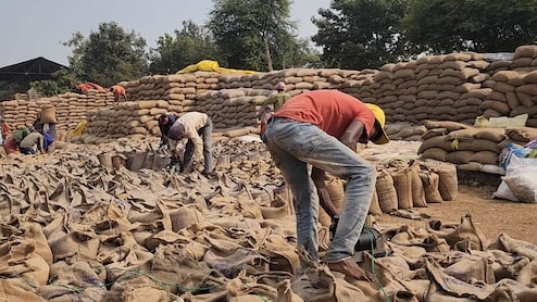 जशपुर में 6.55 करोड़ का धान 'चबा' गए अधिकारी, छह पर FIR, जानें क्या है मामला