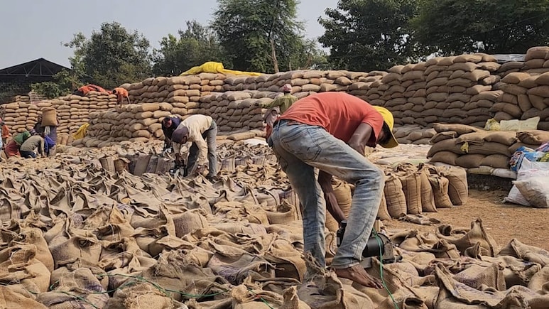 जशपुर में 6.55 करोड़ का धान 'चबा' गए अधिकारी, छह पर FIR, जानें क्या है मामला