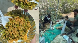 Viral Video Showing The Making Of Healthy Gujarati Snack <i>Ponk</i> Gets 13 Million Views