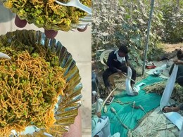 Viral Video Showing The Making Of Healthy Gujarati Snack <i>Ponk</i> Gets 13 Million Views