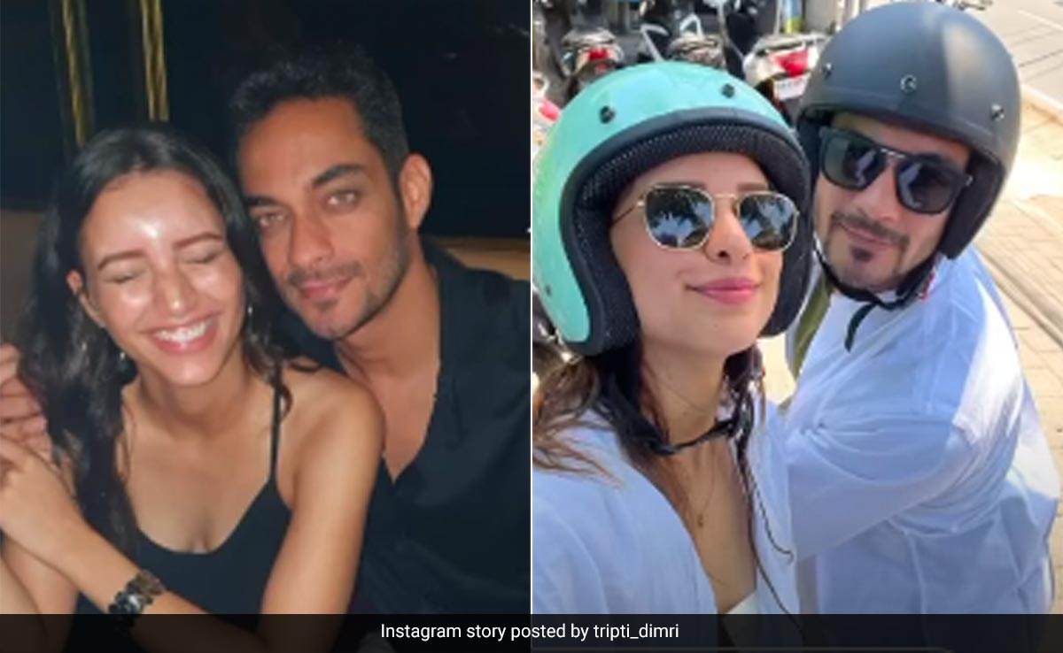 Triptii Dimri's Birthday Wish For Sam Merchant Came Gift-Wrapped With A Throwback Pic