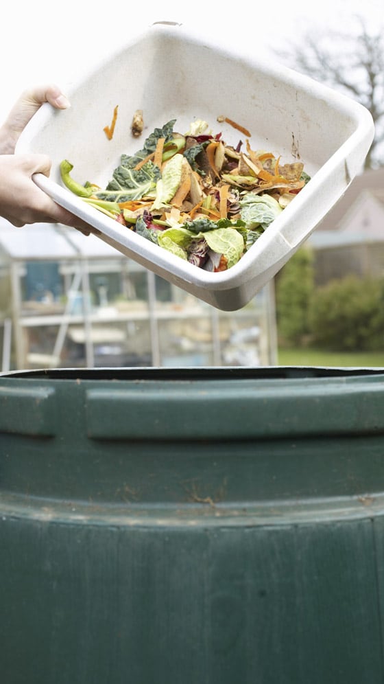 5 Ways To Reduce Food Waste At Home - Vimarsana News