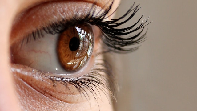 Adopting these habits can significantly improve the quality of your vision & maintain eye health
