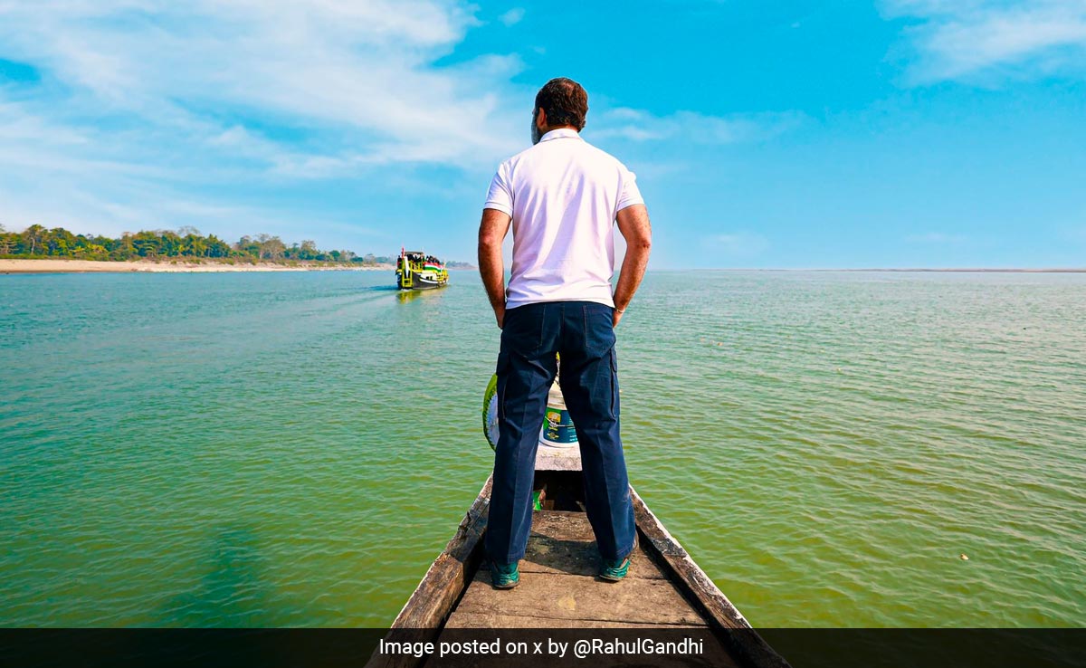 Video: Rahul Gandhi's Boat Trip Down Brahmaputra River In Assam