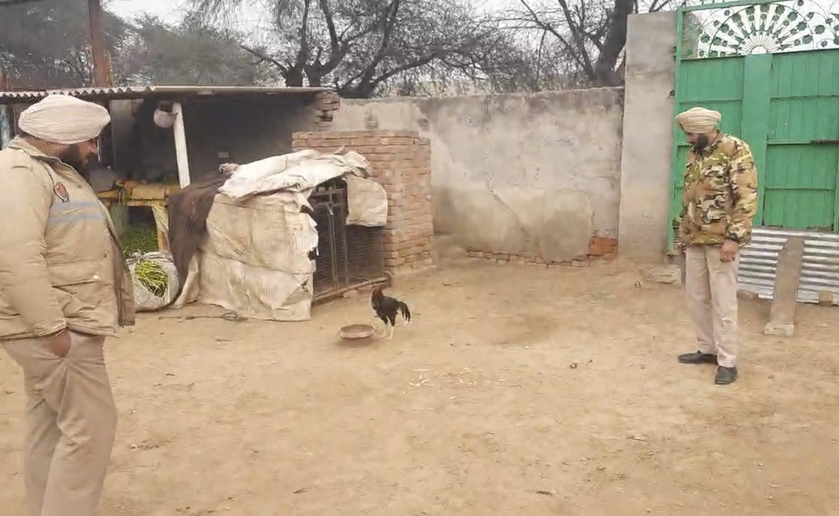 When A Chicken Got "Security Cover" In Punjab