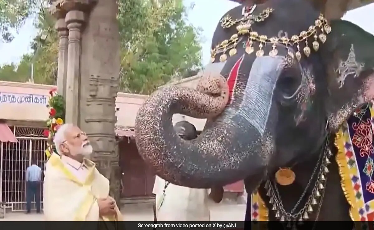 Watch: Elephant Plays Mouth Organ, Blesses PM Modi At Tamil Nadu Temple