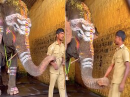 नाराज दोस्त को अनोखे अंदाज में मनाता दिखा हाथी, वायरल वीडियो देख लोग बोले- इसे कहते हैं अनकंडीशनल लव नाराज दोस्त को अनोखे अंदाज में मनाता दिखा हाथी, वायरल वीडियो देख लोग बोले- इसे कहते हैं अनकंडीशनल लव