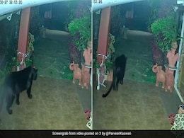 रात में घर के अंदर शाही अंदाज़ में घूमता नज़र आया ब्लैक पैंथर, वायरल Video देख यूजर्स बोले- डरावना और खूबसूरत रात में घर के अंदर शाही अंदाज़ में घूमता नज़र आया ब्लैक पैंथर, वायरल Video देख यूजर्स बोले- डरावना और खूबसूरत