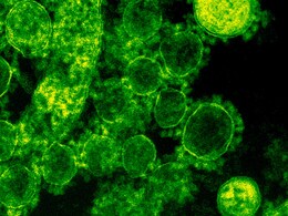 यूट्रस में सूजन से हो सकती है कई परेशानियां, यहां जानिए क्या हैं इसके संकेत