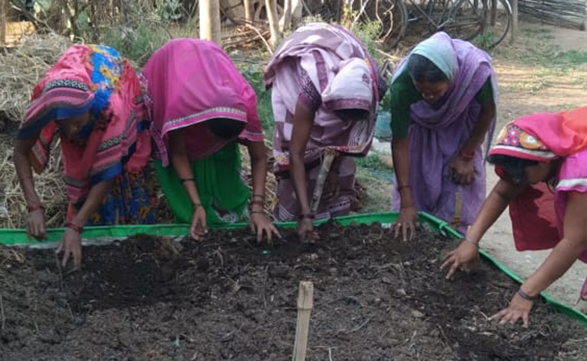 Balaghat News: केमिकल से होने वाले नुकसान को समझकर किसान अपना रहे हैं ऑर्गेनिक खेती