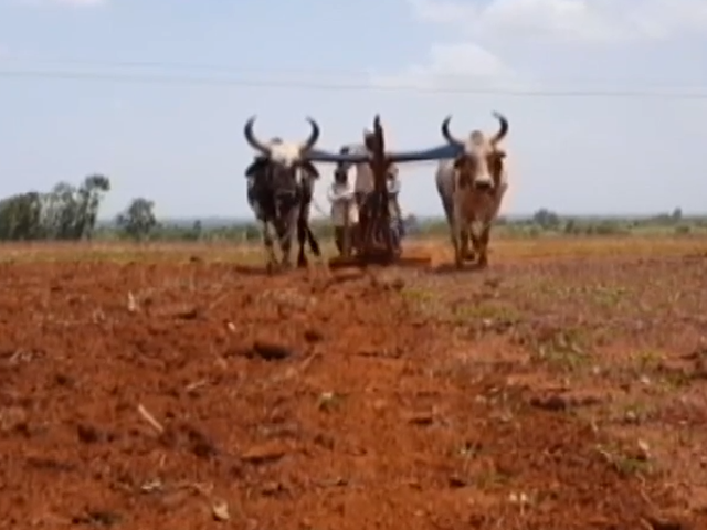 क्या करें पंजाब के किसान कि आमदनी भी बढ़े और पानी भी बचे?