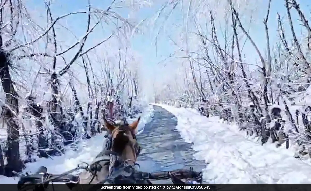 "The Chronicles Of Narnia": A Tonga Ride On Snowy Tracks In Kashmir