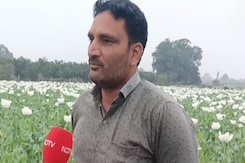 Rajasthan: झालावाड़ में अफीम की खेती करने वाले अब किसान क्यों हैं परेशान? Rajasthan: झालावाड़ में अफीम की खेती करने वाले अब किसान क्यों हैं परेशान?