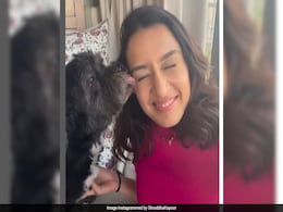 Here's How Shraddha Kapoor Is Celebrating Valentine's Week. BRB, Busy Laughing Here's How Shraddha Kapoor Is Celebrating Valentine's Week. BRB, Busy Laughing