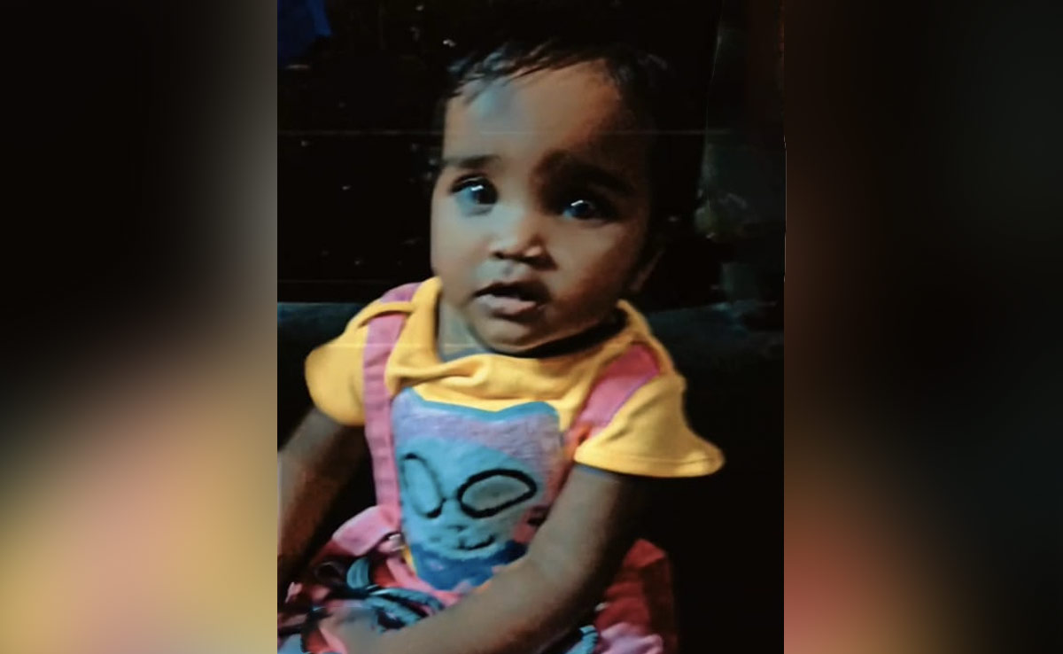 Baby Girl Dies After Attack By Stray Dogs In Delhi's Tughlakabad