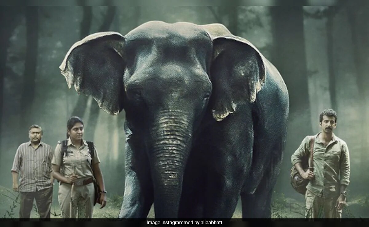 <i>Poacher</i> Review: Powerful Wildlife Crime Thriller Co-Produced By Alia Bhatt