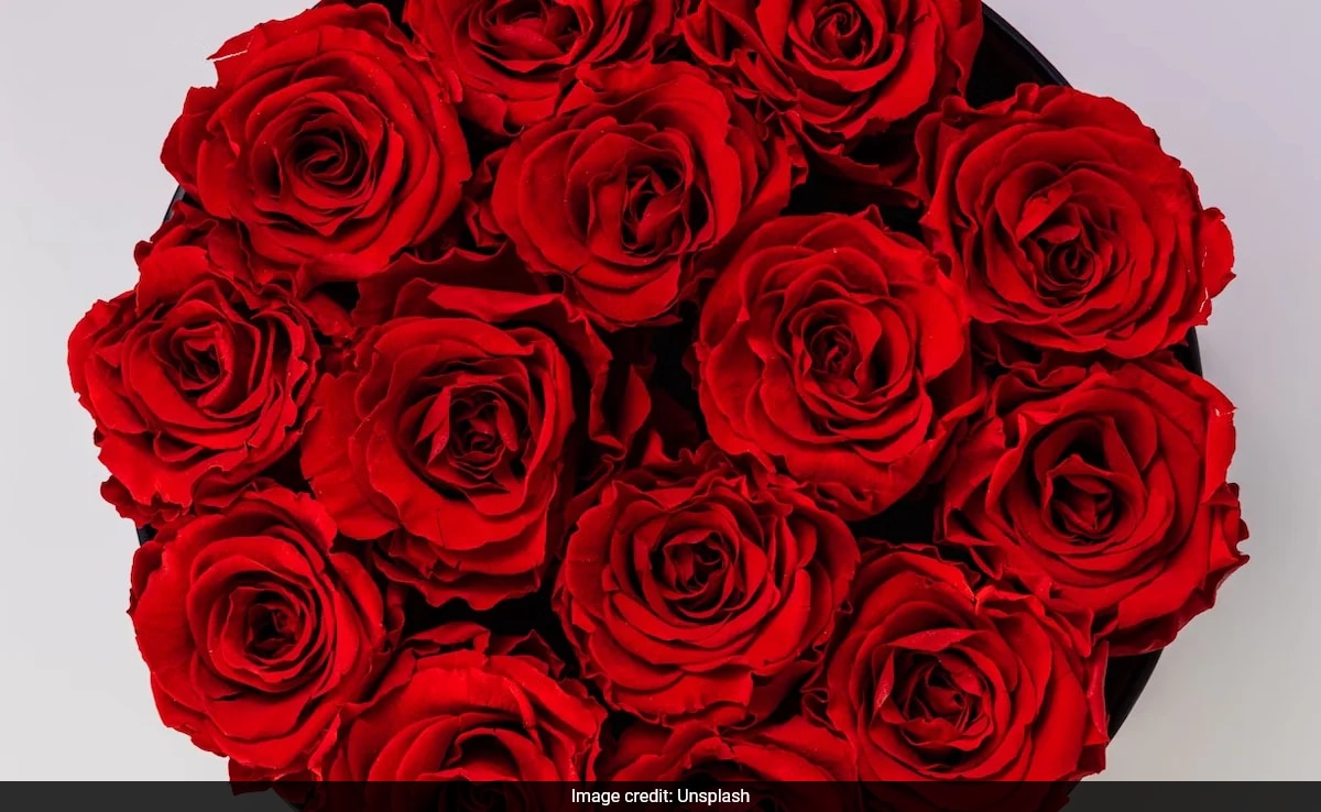 On Rose Day, Blinkit Sees Record-Breaking Sales Of Flowers, Says CEO As ...