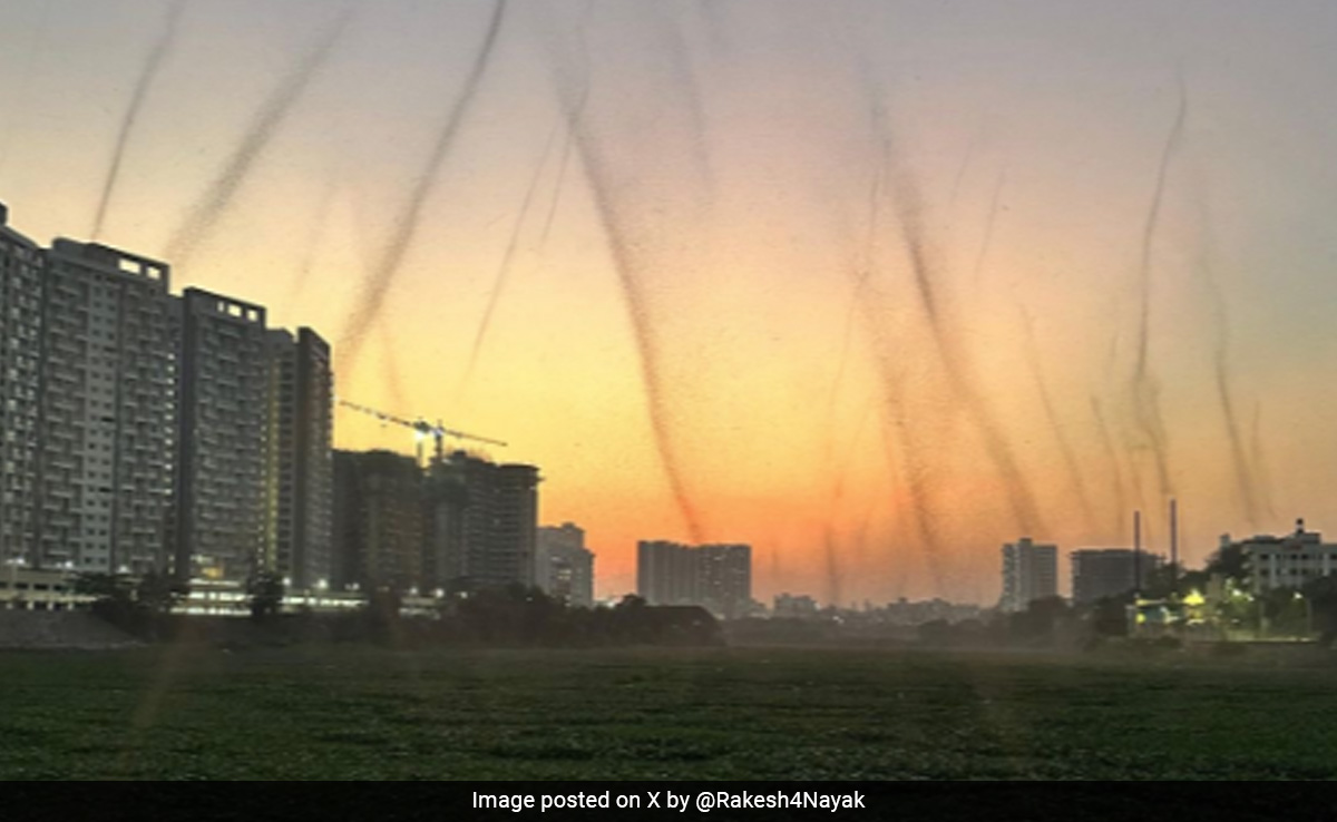 Watch: Terrifying ''Mosquito Tornado'' Sweeps Through Residential Areas In Pune, Sparks Panic