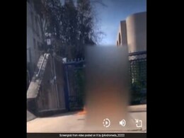 "Free Palestine": US Airman Dies After Setting Himself On Fire Over Gaza "Free Palestine": US Airman Dies After Setting Himself On Fire Over Gaza