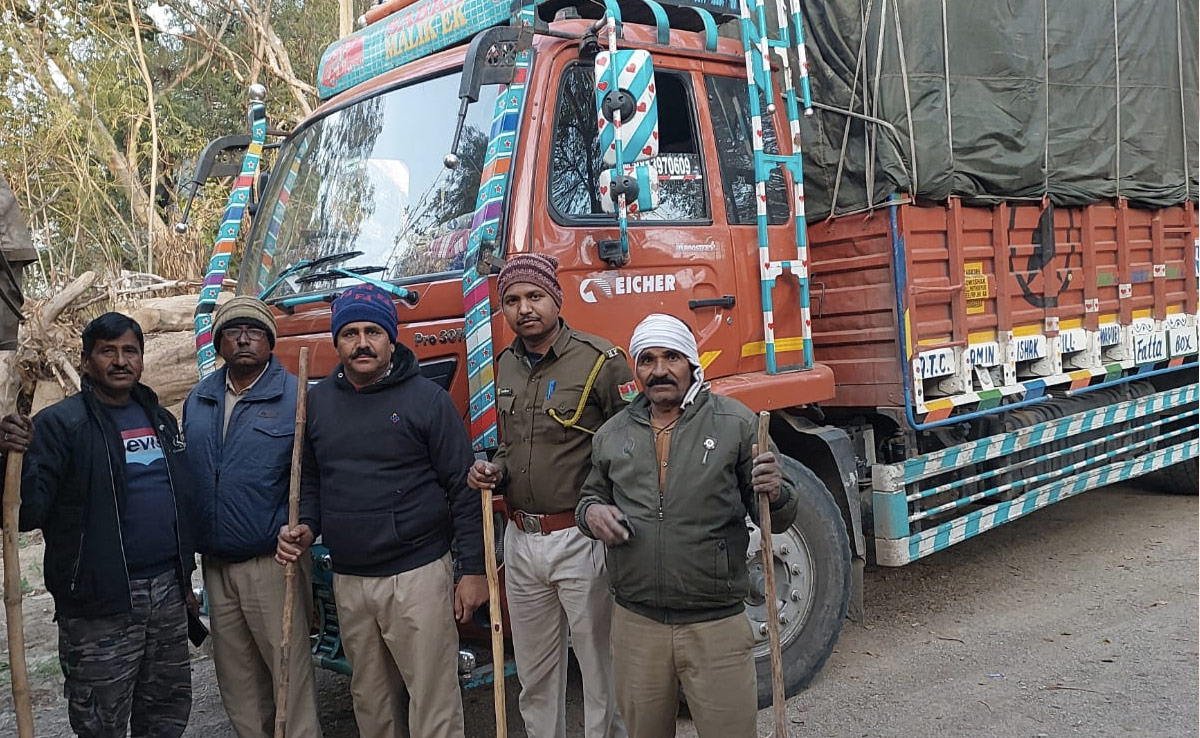 हरियाणा के तस्कर साफ कर रहे राजस्थान के जूलीफ्लोरा के जंगल, ग्रामीणों ने पकड़ी 60 टन लकड़ियां