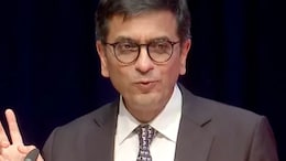 "Plant-Based Diet Has Worked Well For Me": CJI DY Chandrachud Shares In An NDTV Exclusive