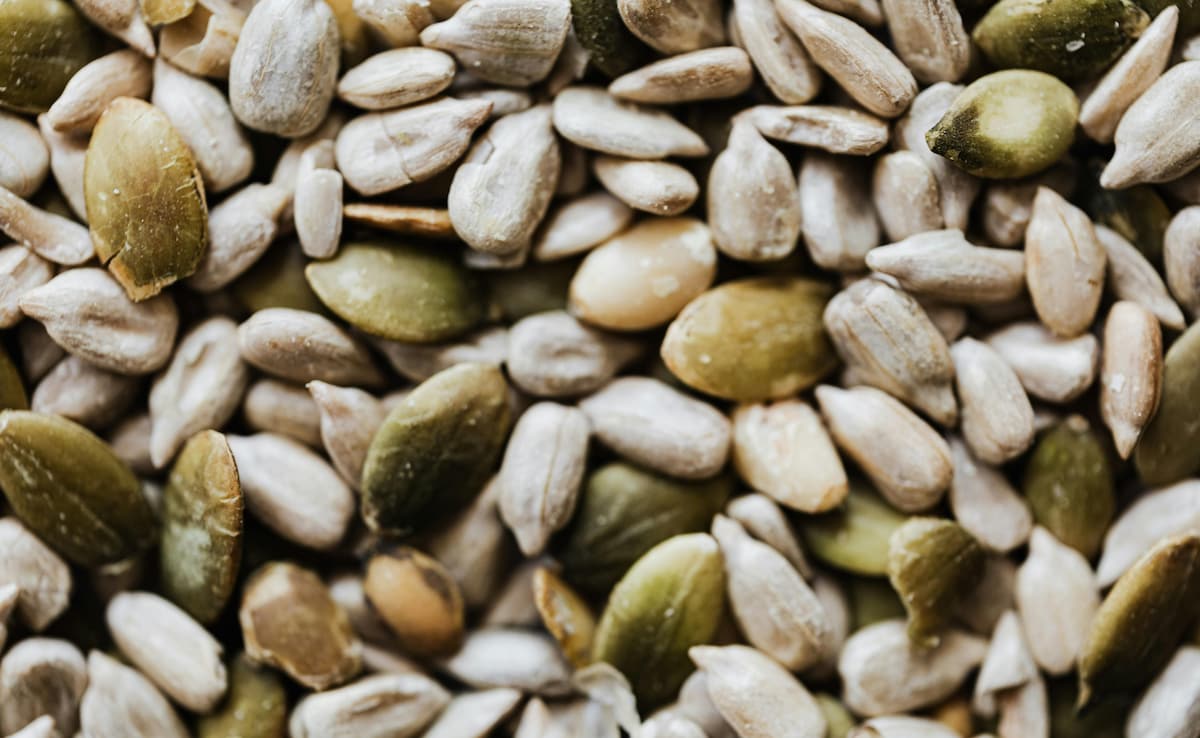 слаби кости мудно храносмилане лоша памет и хормонални промени остаряването може