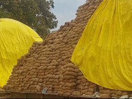 बलरामपुर में धान की बंपर खरीदी के बाद भी समिति प्रबंधक हुए परेशान, जानिए वजह 