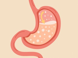 एसिडिटी से राहत दिलाती हैं घर की ये 6 चीजें, पेट में गड़बड़ी होने पर इन्हें देख लीजिए खाकर एसिडिटी से राहत दिलाती हैं घर की ये 6 चीजें, पेट में गड़बड़ी होने पर इन्हें देख लीजिए खाकर