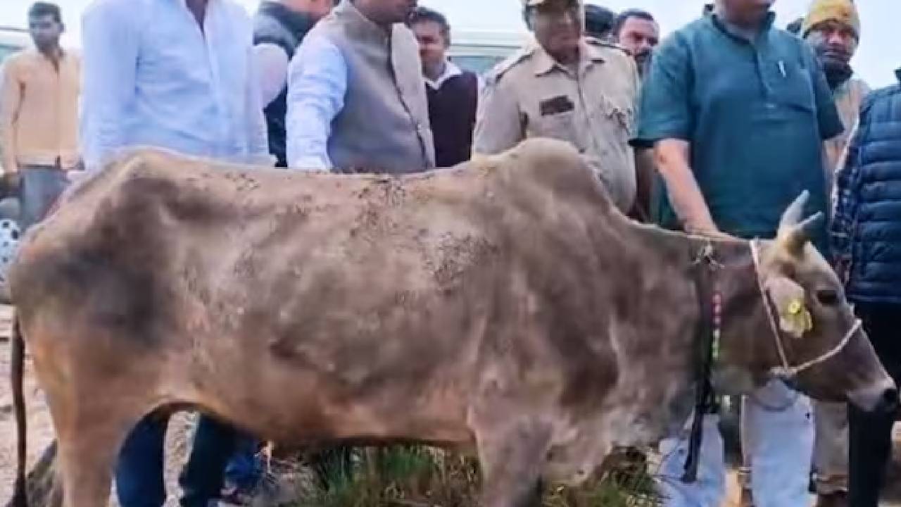 Alwar : सीएम भजनलाल का गौ-तस्करी पर बड़ा एक्शन, 42 पुलिसकर्मी पर हुई कार्रवाई