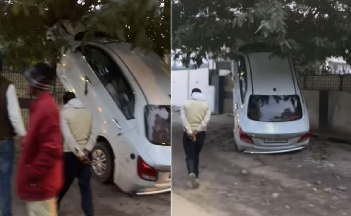 पेड़ के ऊपर चढ़ गई कार, अनोखा नजारा देख सड़क पर उमड़ी भीड़, लोग बोले- हे भगवान..ऐसा कैसे