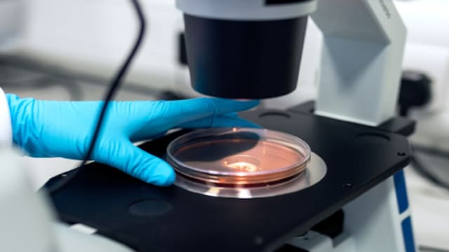 Overuse of antibiotics has led to bacteria that no longer respond to treatment