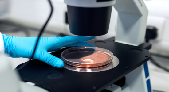 Overuse of antibiotics has led to bacteria that no longer respond to treatment