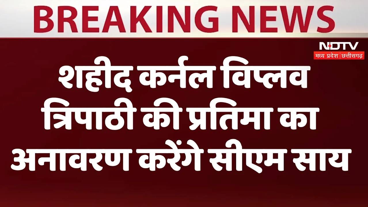 शहीद कर्नल विप्लव त्रिपाठी की प्रतिमा का अनावरण करेंगे सीएम साय