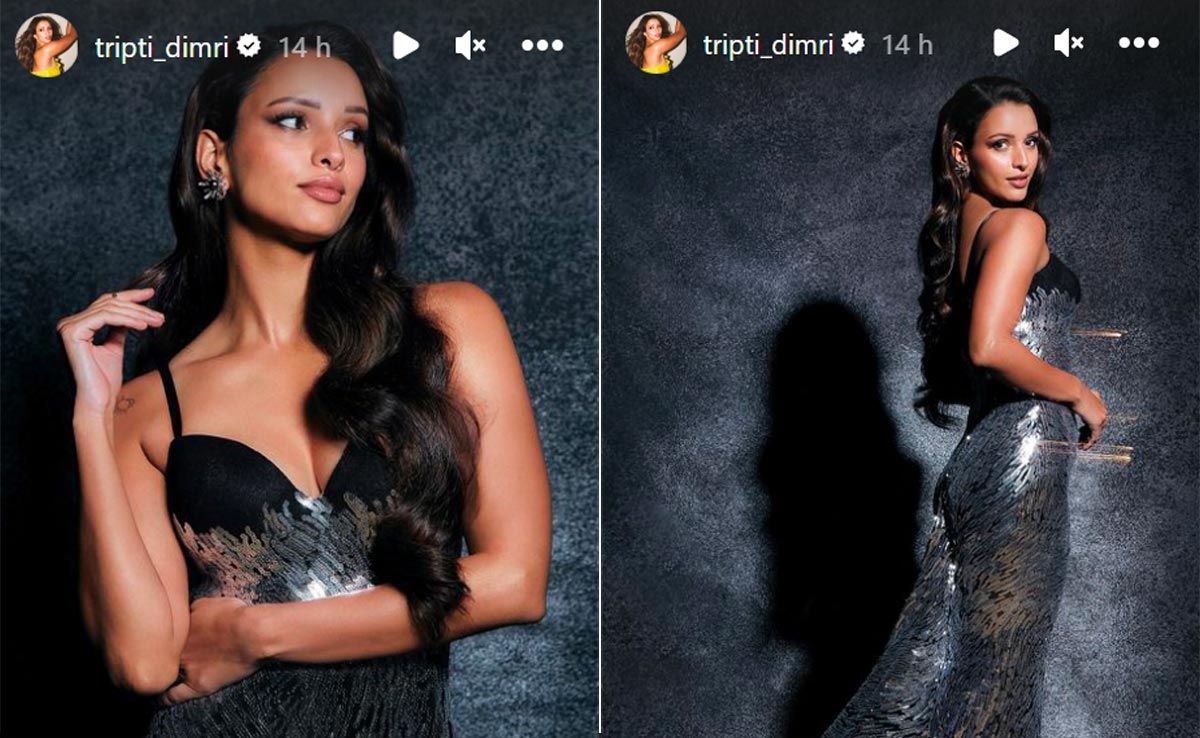Triptii Dimri's Smokey Eyeliner And Vintage Curls Up The Red Carpet Glam Quotient With Her Sequin Gown