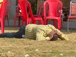 मध्य प्रदेश : शादी समारोह में मधुमक्खियों ने मेहमानों पर किया हमला, 12 लोग घायल मध्य प्रदेश : शादी समारोह में मधुमक्खियों ने मेहमानों पर किया हमला, 12 लोग घायल