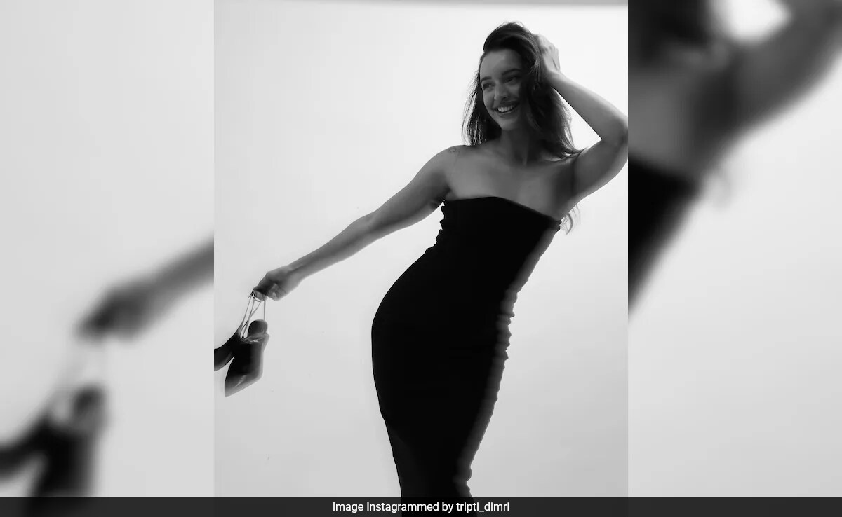 POV: You Opened Triptii Dimri's Instagram Post - "National Crush" Comments Rule